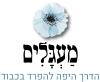 מעגלים