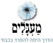 מעגלים